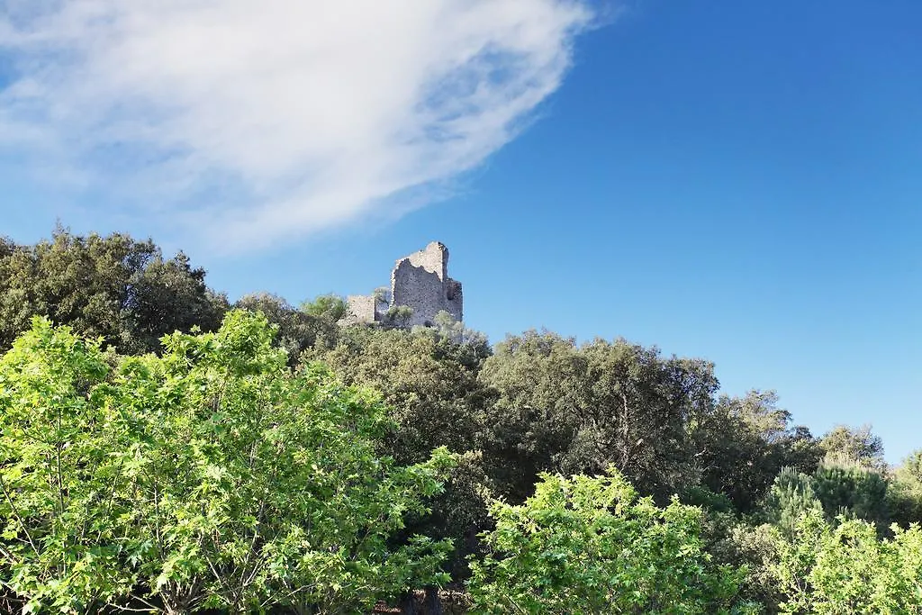 Résidence Prestige Odalys La Palmeraie Grimaud Appart hôtel